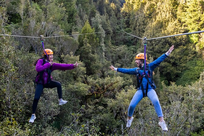 Rotorua’s Ultimate Zipline: 6 ziplines, 400 m Tandem, Cliff Walk - Six ziplines through Rotorua’s oldest forest