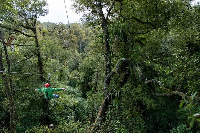 Rotorua’s Ultimate Zipline: 6 ziplines, 400 m Tandem, Cliff Walk - Who will enjoy the Ultimate Zipline most
