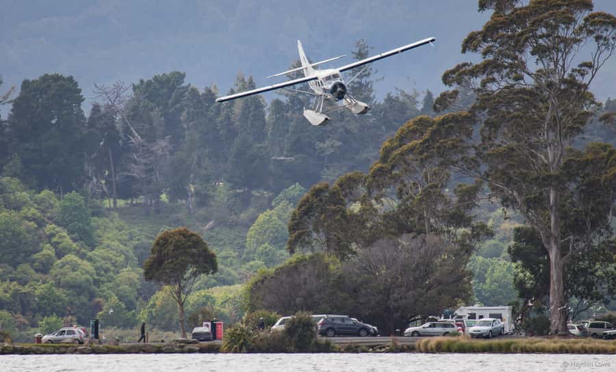 Rotorua: Scenic Flight over Mt Tarawera & Waimangu Valley - Waimangu Valley from above