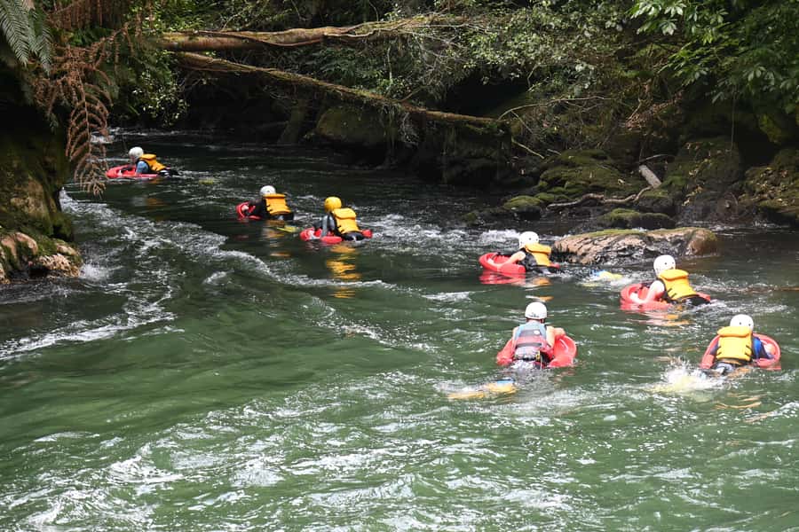 Rotorua Sledging: Kaituna White Water River Board Experience - What the itinerary really means for your day