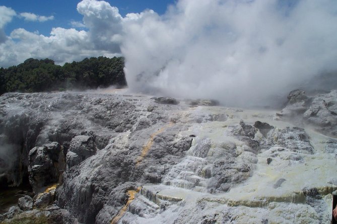 Rotorua Small-Group Day Tour from Auckland - Key points before you book