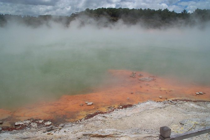 Rotorua Small-Group Day Tour from Auckland - Why Te Puia makes this Auckland day trip worthwhile