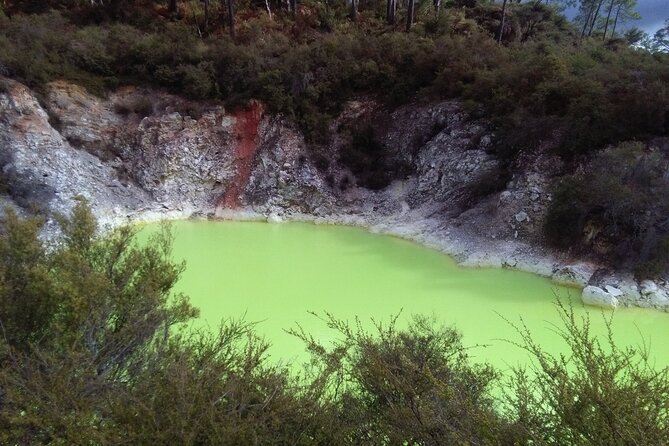 Rotorua Small-Group Day Tour from Auckland - The small minivan makes the long drive easier