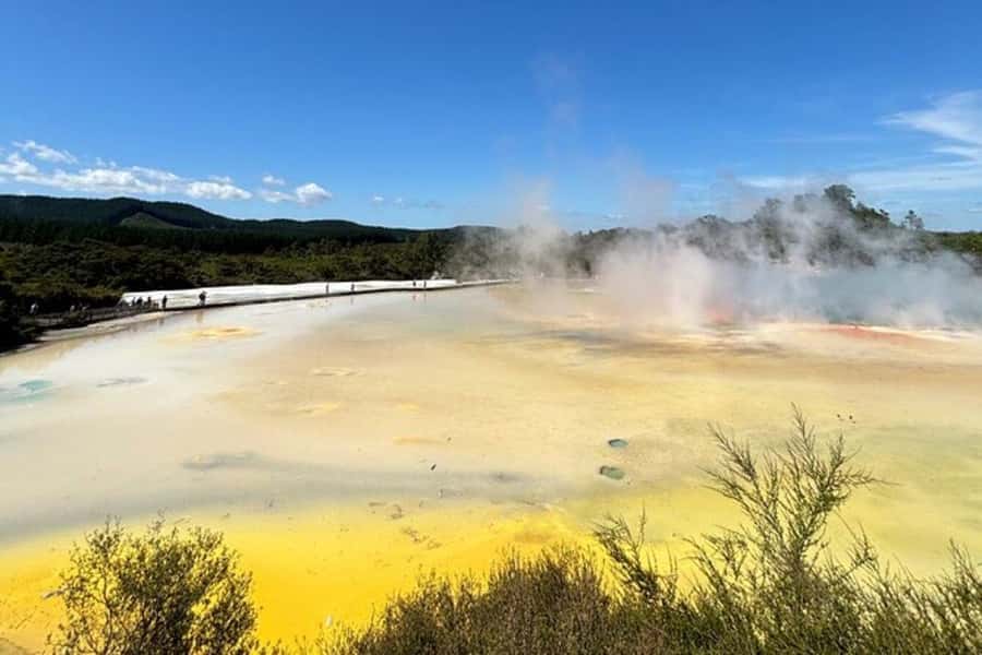 Rotorua & Taupo DayTour Waiotapu & Huka Falls from Auckland - Lady Knox Geyser and the timing question