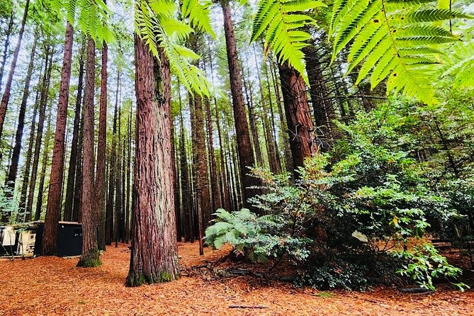 Rotorua & Taupo DayTour with Waiotapu & Huka Falls from Auckland - Huka Falls and the Waikato River