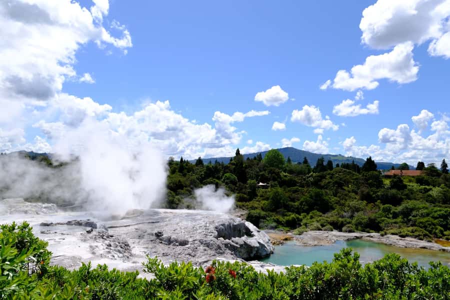 Rotorua: Te Puia Maori Village and Rejuvenation Tour - What the $1,016 price means