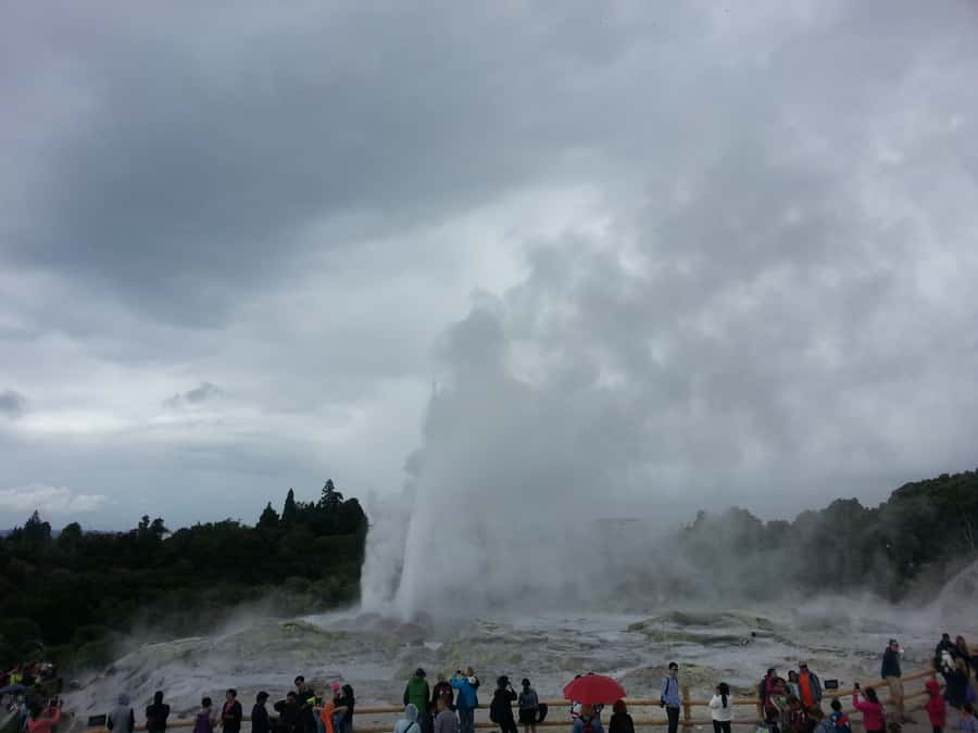 Rotorua: Te Puia Maori Village and Rejuvenation Tour - Comfort, timing, and what to pack