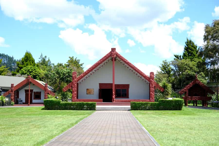 Rotorua: Te Puia Maori Village and Rejuvenation Tour - Who will enjoy this day most
