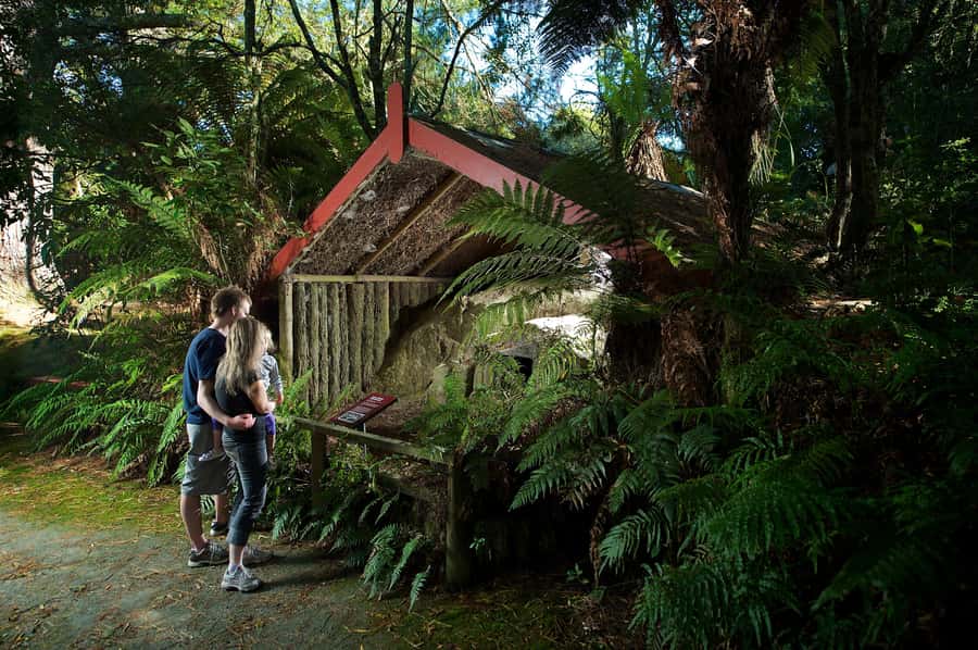 Rotorua: The Buried Village of Te Wairoa - Start with the museum before walking into the ruins