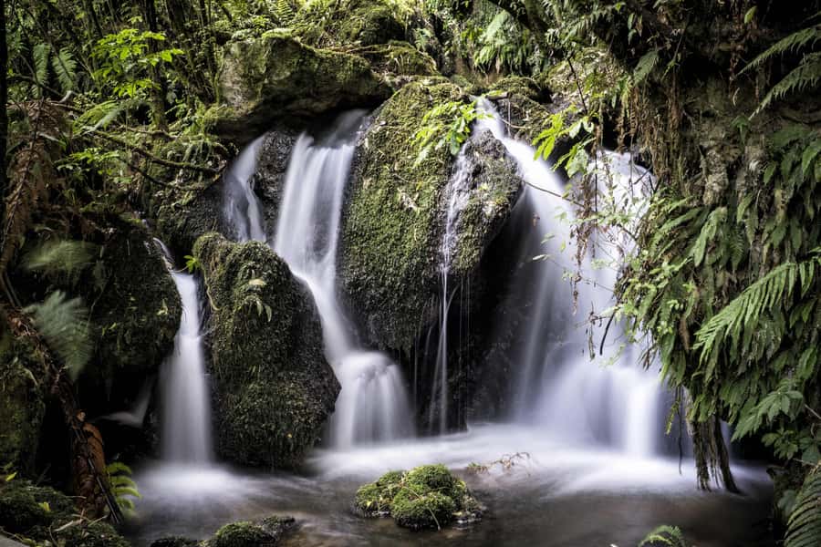 Rotorua: The Buried Village of Te Wairoa - Add a cafe stop and a little Victorian theater