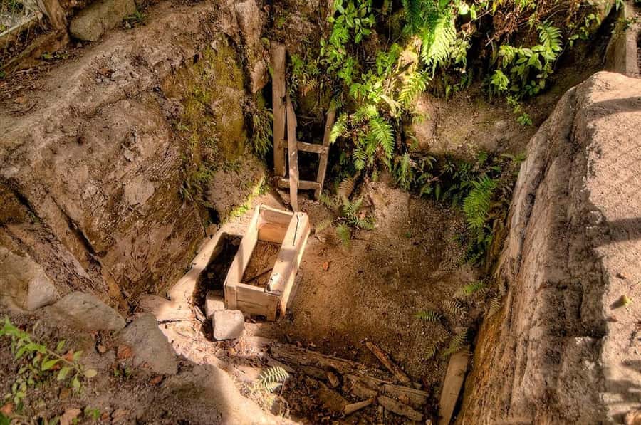Rotorua: The Buried Village of Te Wairoa - Follow the buried village through the archaeological site