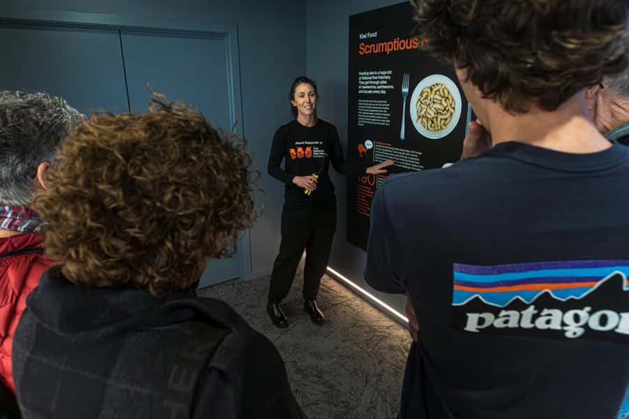 Rotorua: The National Kiwi Hatchery Kiwi Encounter Tour - Eggs, incubation, and the chance to see a health check