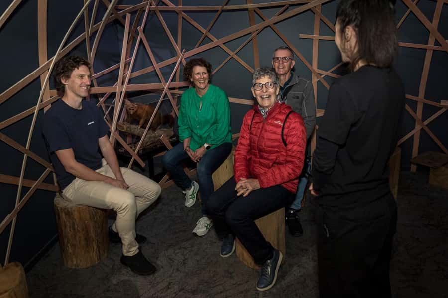 Rotorua: The National Kiwi Hatchery Kiwi Encounter Tour - Is $44 good value?