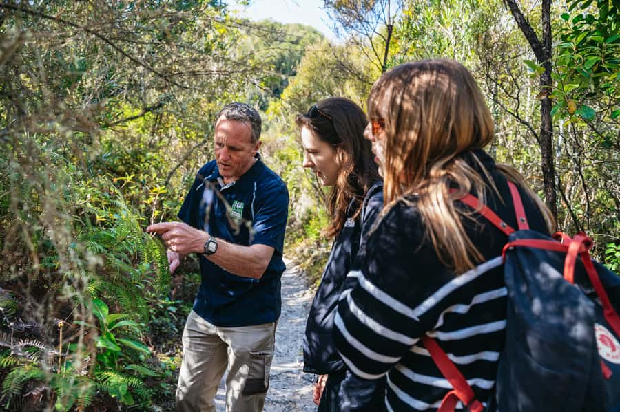Rotorua: 'Thermal Path Tour' Geothermal half day Tour - Who should book the Thermal Path Tour?