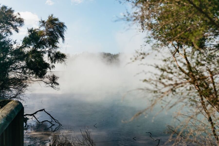 Rotorua: 'Thermal Path Tour' Geothermal half day Tour - Ending with a soak at Waikite Valley