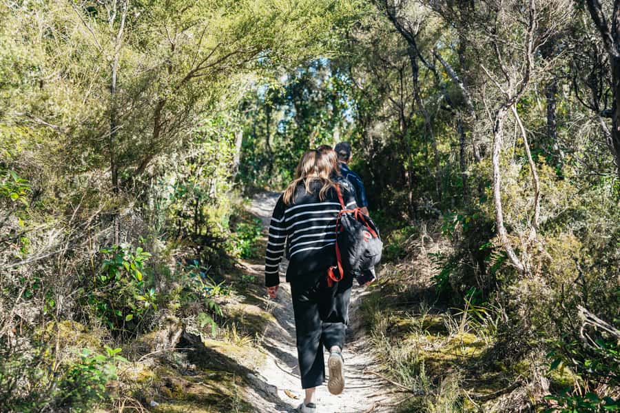 Rotorua: 'Thermal Path Tour' Geothermal half day Tour - Is $89 a fair price?