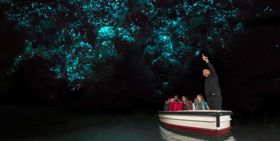 Rotorua to Auckland - Afternoon Transfer with Waitomo Caves - The road to Waitomo and the food question