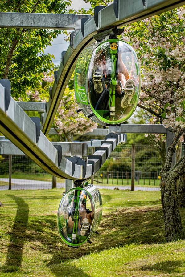 Rotorua: Velocity Valley - Four Ride Pass - Four useful things to know before you go