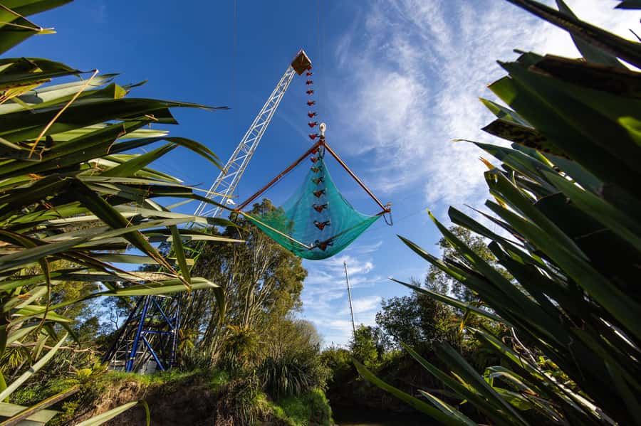 Rotorua: Velocity Valley - NEW Vertigo 43m drop - The Moment Before the Drop