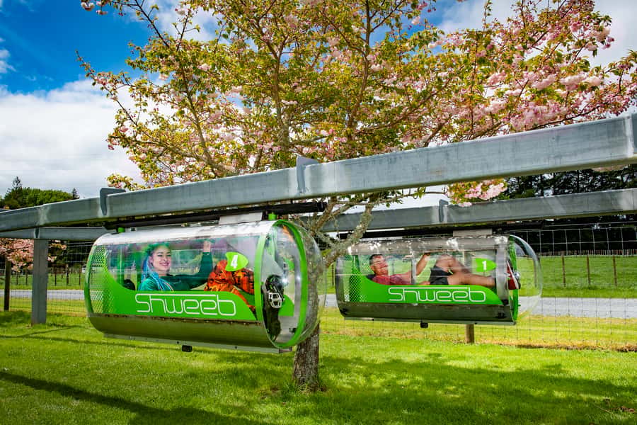 Rotorua: Velocity Valley - One Ride Pass - Four rides, four very different kinds of nerve