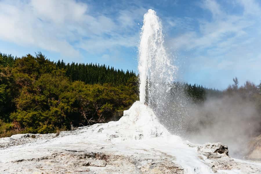 Rotorua: Wai-O-Tapu Geothermal Park Entry Ticket - Key points to know before you go
