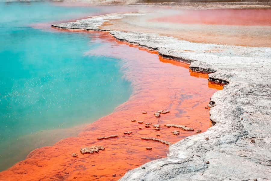 Rotorua: Wai-O-Tapu Geothermal Park Entry Ticket - The main park and its three walking loops
