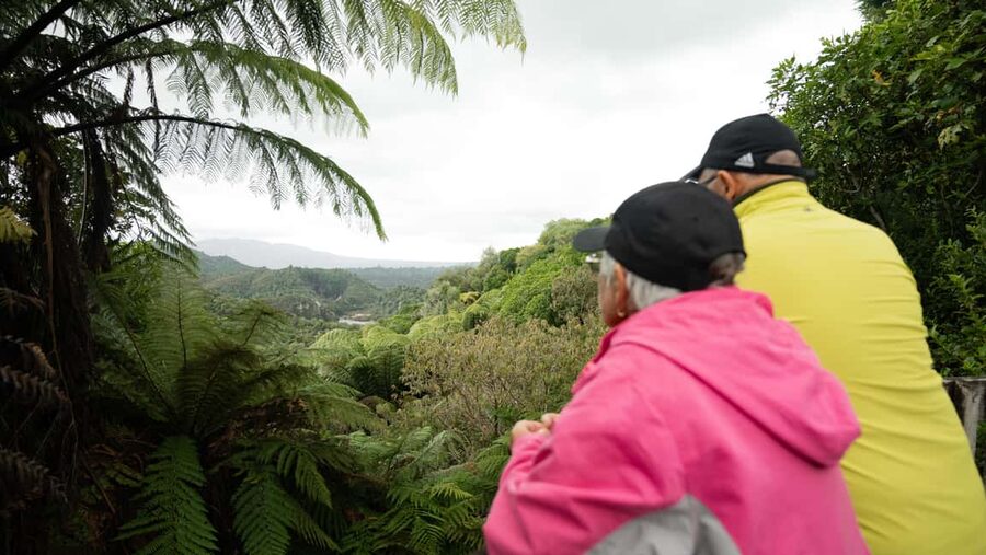 Rotorua: Waimangu Valley Walk and Steaming Cliffs Kayak Tour - What the $132 price includes