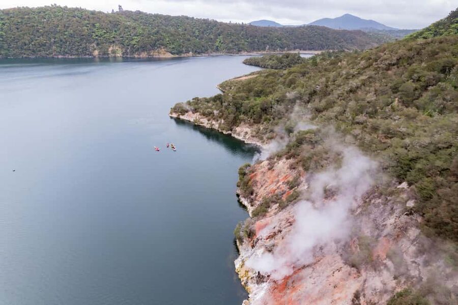Rotorua: Waimangu Valley Walk and Steaming Cliffs Kayak Tour - Should you book the Waimangu and Rotomahana tour?
