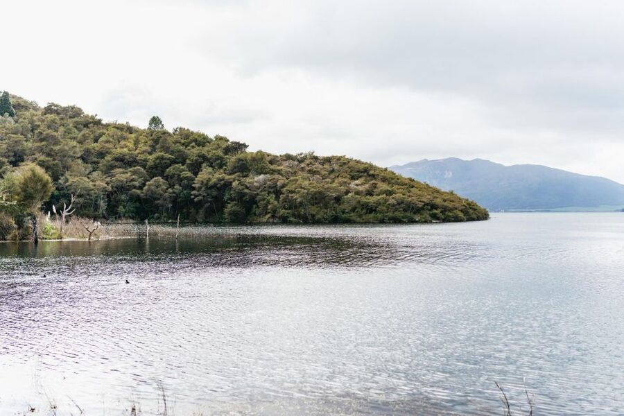 Rotorua: Waimangu Volcanic Valley Ticket & Self-Guided Walk - Key points at a glance