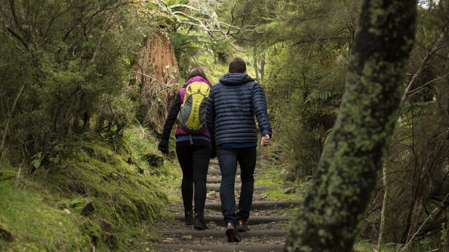 Rotorua: Waimangu Volcanic Valley Ticket & Self-Guided Walk - The shuttle is more useful than it first sounds