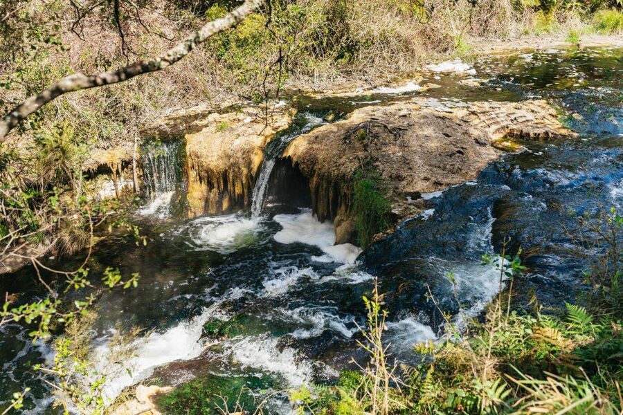 Rotorua: Waimangu Volcanic Valley Ticket & Self-Guided Walk - Who will enjoy this most