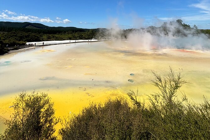 Rotorua: WaiOtapu & Redwood forest & Blues springs from Auckland - Wai-O-Tapu’s hot pools and mud