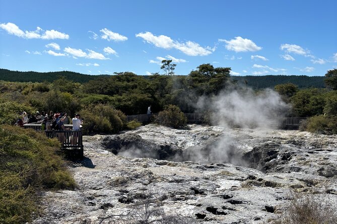 Rotorua: WaiOtapu & Redwood forest & Blues springs from Auckland - Two hours for Rotorua and lunch