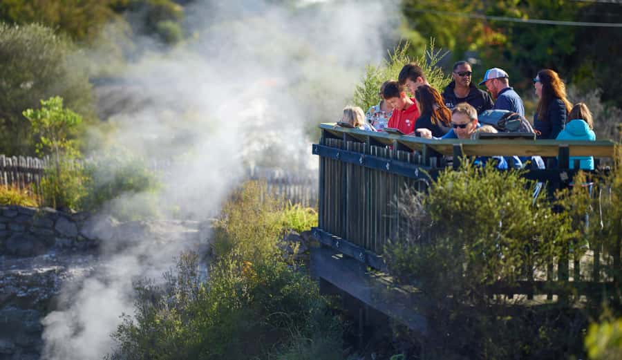 Rotorua: Whakarewarewa Village Guided Tour - Who Should Book Whakarewarewa?