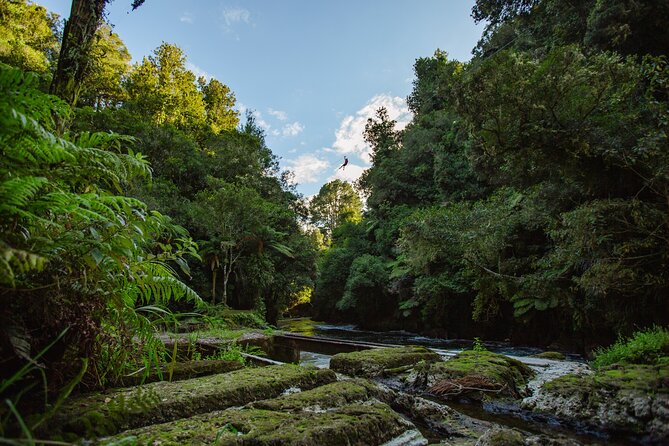 Rotorua Ziplines - Okere Falls Experience - The guides make the difference for first-time zipliners
