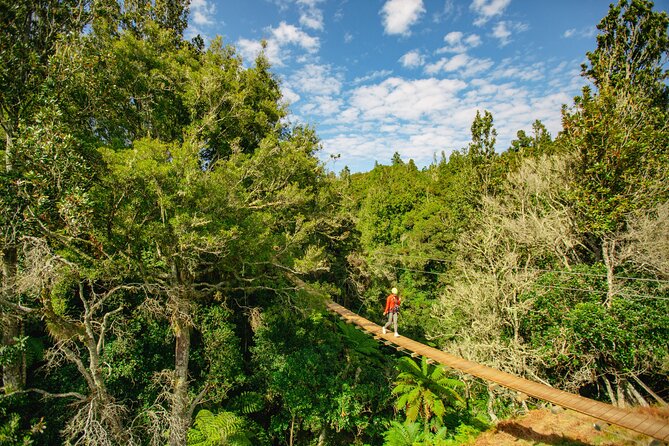 Rotorua Ziplines - Okere Falls Experience - Who will get the most from this Rotorua activity