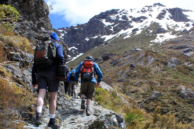 Routeburn Track Guided Hike (Full Day) - Key points to know before you book