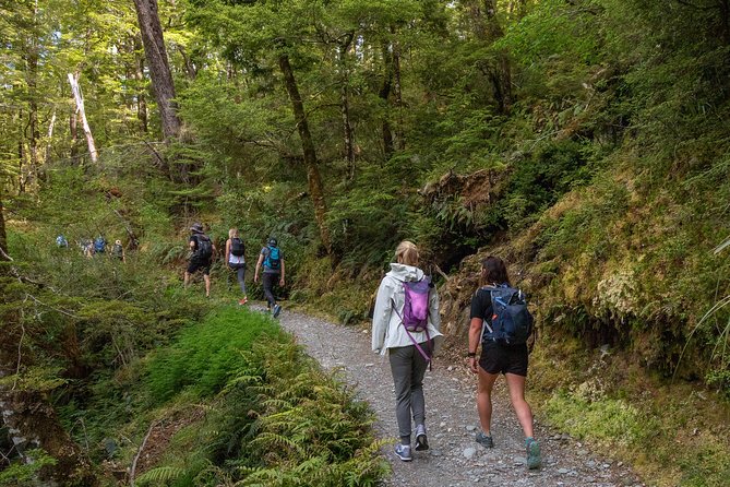 Routeburn Track Guided Hike (Full Day) - The Queenstown start and ride to the trail
