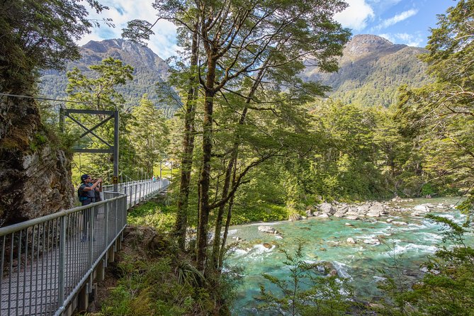 Routeburn Track Guided Hike (Full Day) - Walking through beech forest and podocarps
