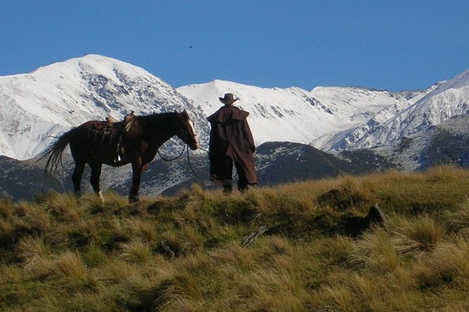 Rubicon Valley Horse Treks - 2 Hour River Trail Horse Trek - Key points to know before booking