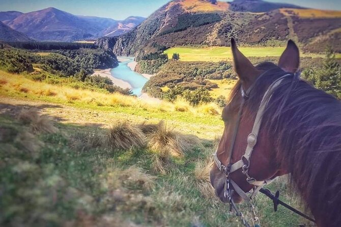Rubicon Valley Horse Treks - 2 Hour River Trail Horse Trek - Is $91.47 good value?