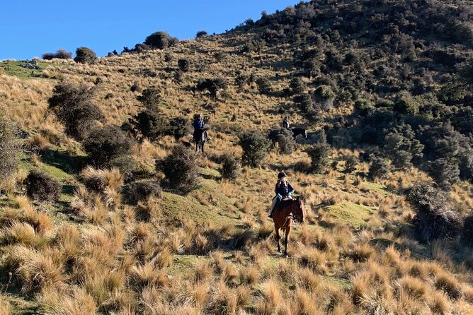 Rubicon Valley Horse Treks - 2 Hour River Trail Horse Trek - Following the river toward the Waimakariri Canyon