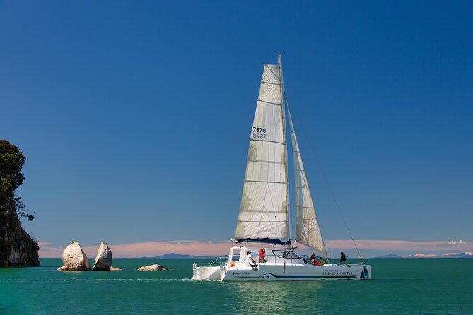 Sail, Seals, and Walk Tour in Abel Tasman - The 3.5 to 4-hour walk back to Marahau