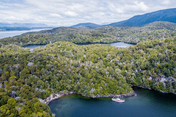Scenic Cruise & Guided walk on Historic Motor Yacht Lake Te Anau - Afternoon tea with the engine off