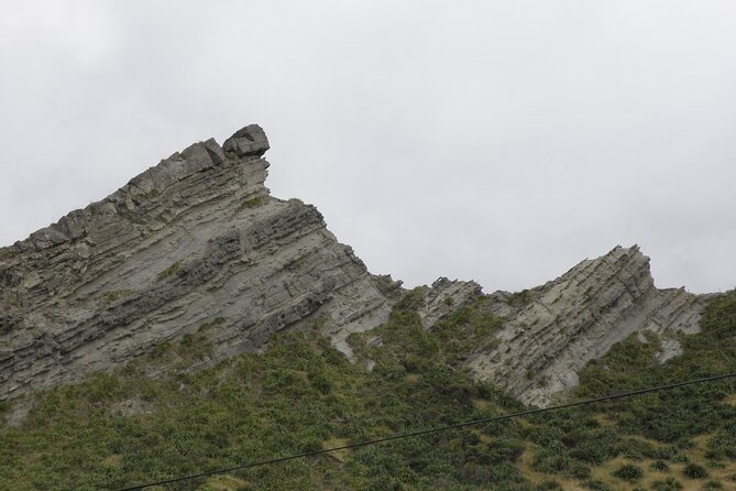 Scenic South Wairarapa Full Day Tour from Wellington - Parliament, rainforest, and the first change of pace