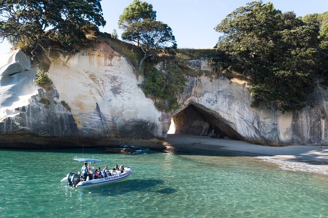 Sea Cave Adventures in Whitianga - Key points to know before booking