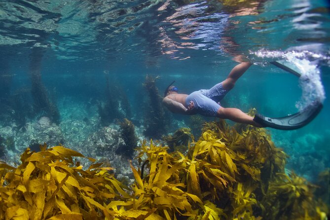 Sea Cave Adventures in Whitianga - Whitianga Wharf is the simple starting point