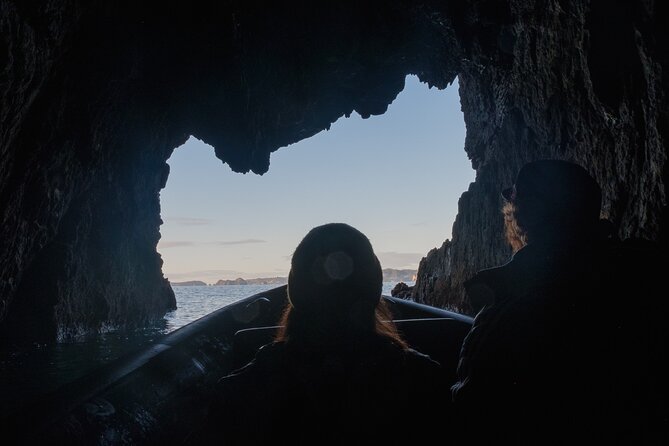 Sea Cave Adventures in Whitianga - Is $87 good value?