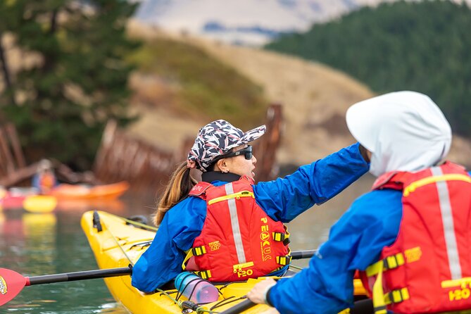 Sea Kayaking Christchurch, Lyttelton Harbour & Quail Island - Your afternoon choice on Quail Island