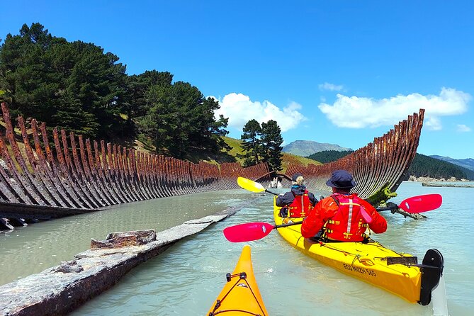 Sea Kayaking Christchurch, Lyttelton Harbour & Quail Island - What the $278.64 price really covers